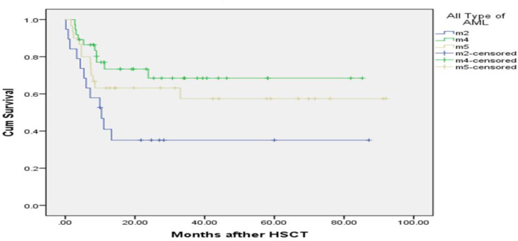 Survival of Patients with Acute Myeloid Leukemia after Allogeneic Stem Cell Transplantation: An Experience in Developing Country.