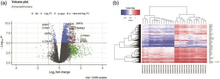 Network pharmacology and bioinformatics analyses identify the intersection genes and mechanism of Huang Bai for recurrent aphthous stomatitis.