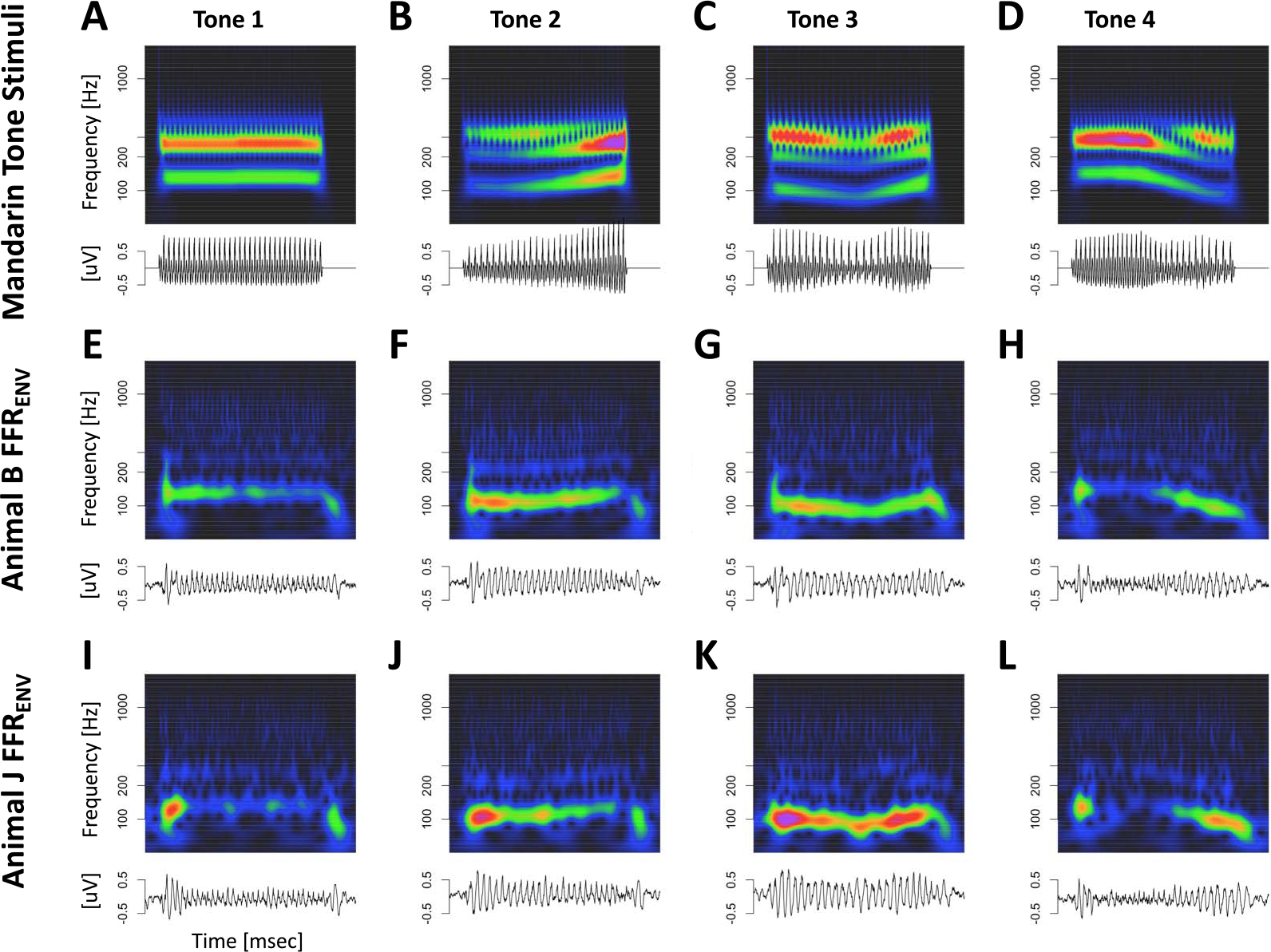 A Linear Superposition Model of Envelope and Frequency Following Responses May Help Identify Generators Based on Latency.