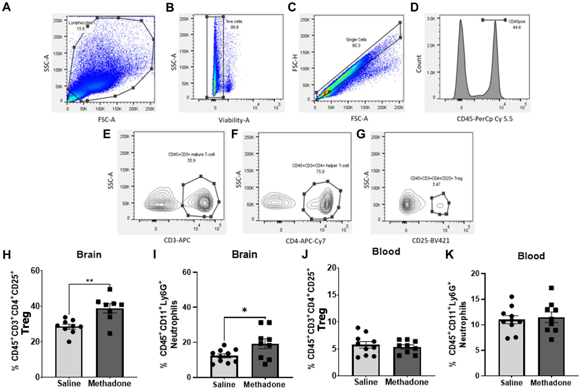 Methadone alters the peripheral inflammatory and central immune landscape following prenatal exposure in rats.