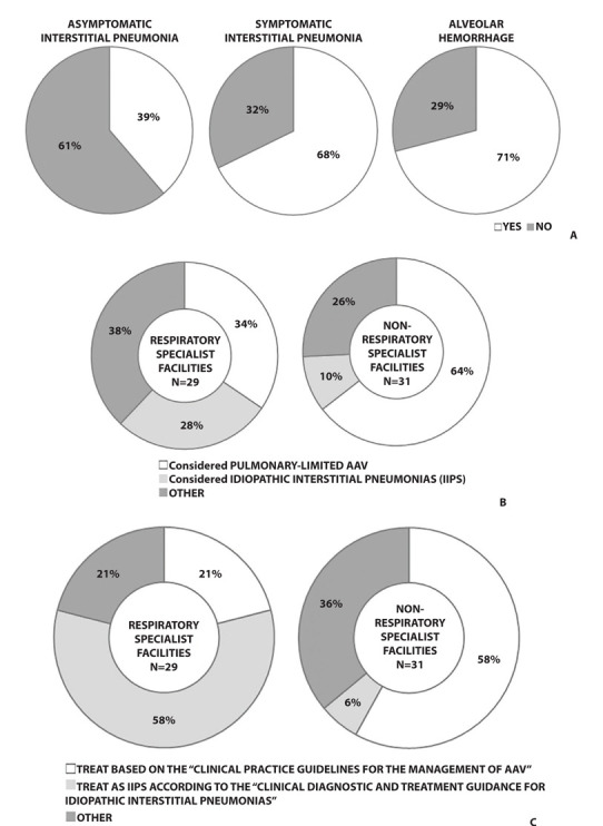 MPO-ANCA positive interstitial pneumonia: Current knowledge and future perspectives.