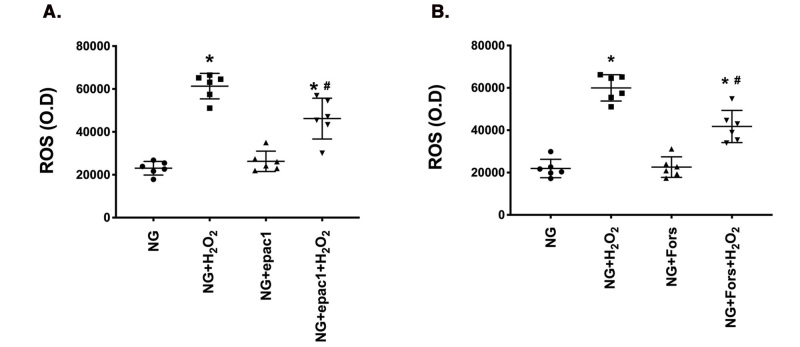 Epac1 and PKA agonists inhibit ROS to reduce NLRP3 inflammasome proteins in retinal endothelial cells.