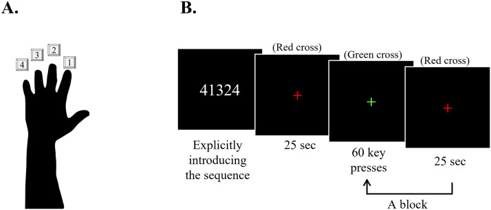 Effects of Sleep on Language and Motor Consolidation: Evidence of Domain General and Specific Mechanisms.