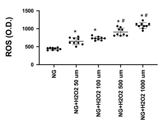 Epac1 and PKA agonists inhibit ROS to reduce NLRP3 inflammasome proteins in retinal endothelial cells.