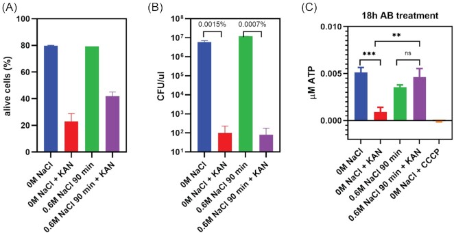 Antibiotic tolerance in environmentally stressed <i>Bacillus subtilis</i>: physical barriers and induction of a viable but nonculturable state.