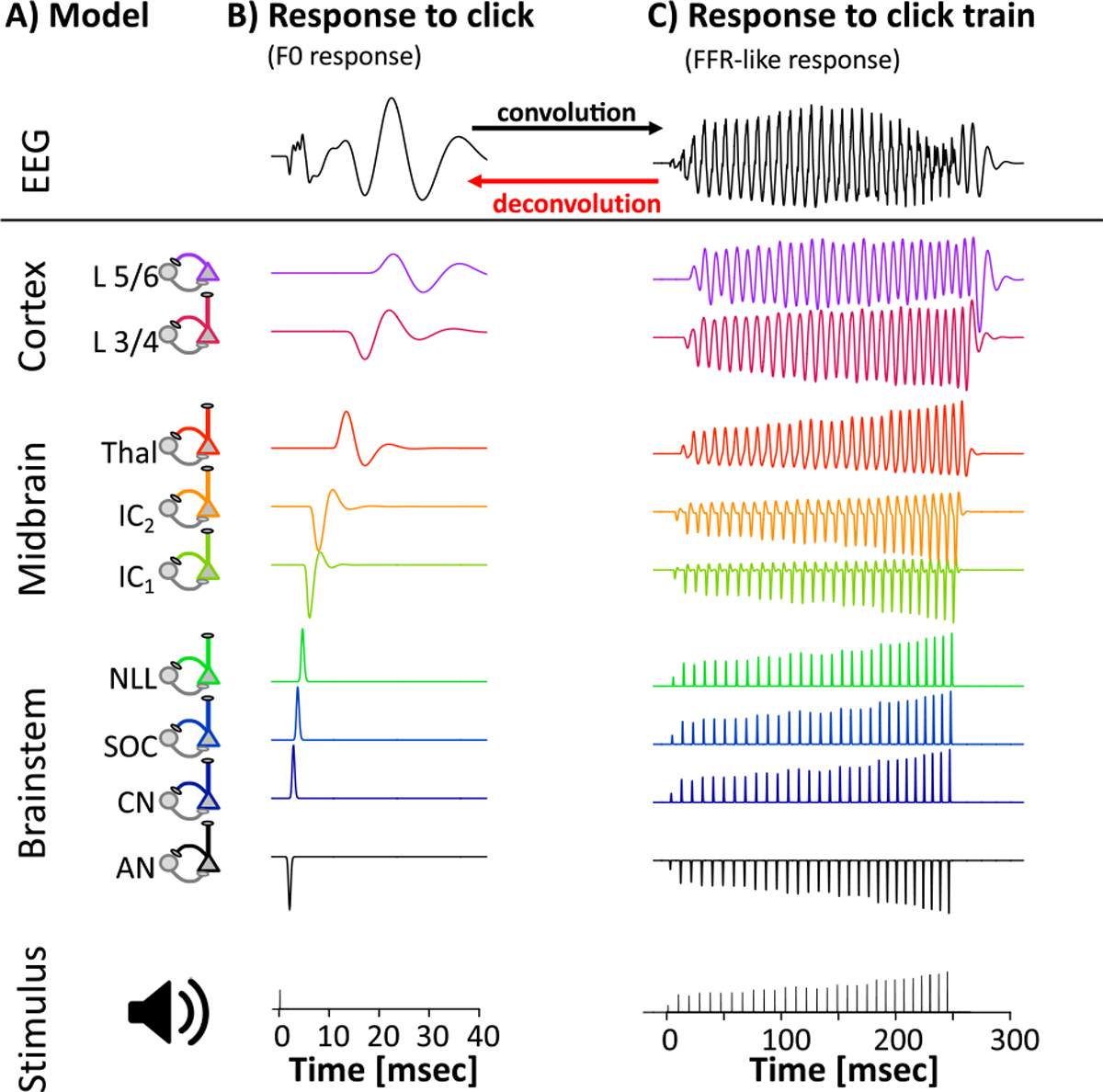 A Linear Superposition Model of Envelope and Frequency Following Responses May Help Identify Generators Based on Latency.