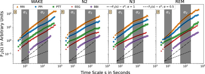 Long- and short-term fluctuations compared for several organ systems across sleep stages.