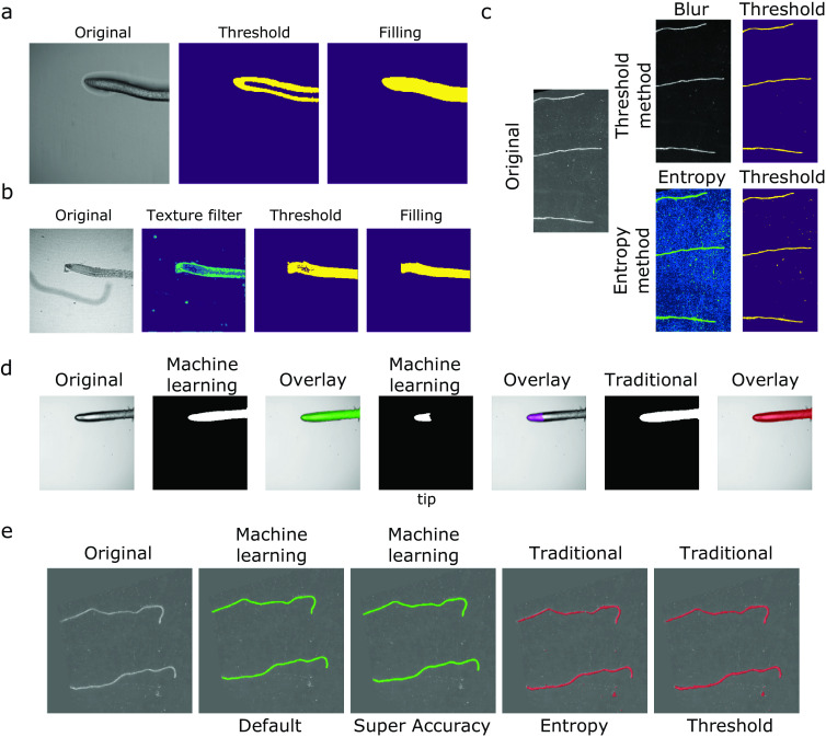 ACORBA: Automated workflow to measure <i>Arabidopsis thaliana</i> root tip angle dynamics.