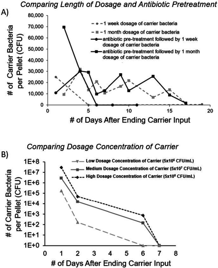 Introduction of Plasmid to the Murine Gut via Consumption of an <i>Escherichia coli</i> Carrier and Examining the Impact of Bacterial Dosing and Antibiotics on Persistence.