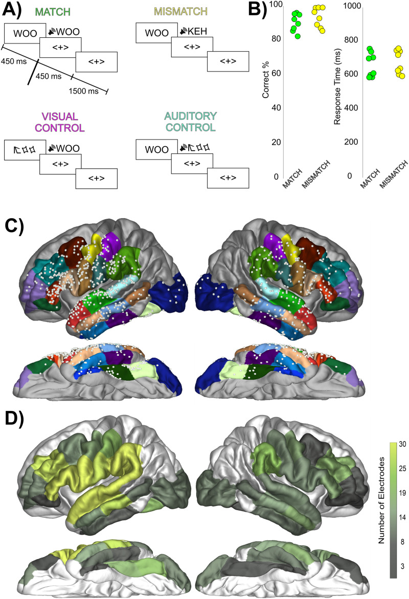 The Precentral Gyrus Contributions to the Early Time-Course of Grapheme-to-Phoneme Conversion.