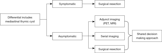 Mediastinal thymic cysts: a narrative review.