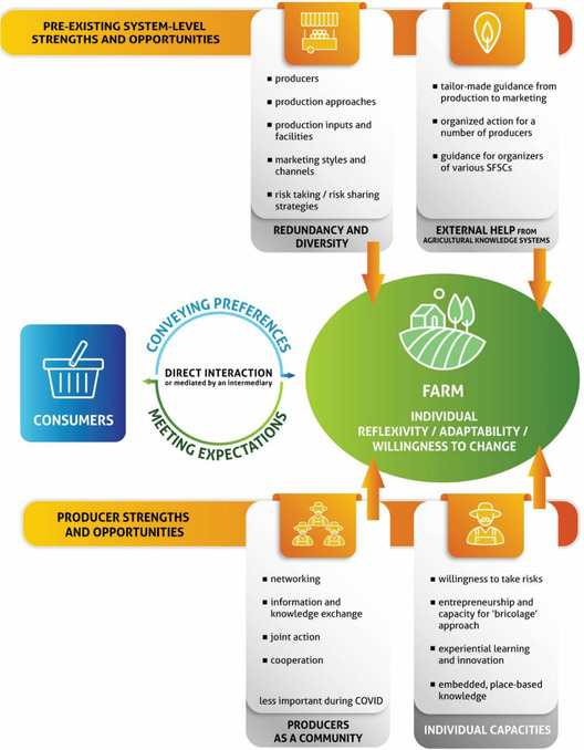 Survival strategies of producers involved in short food supply chains following the outbreak of COVID-19 pandemic: A Hungarian case-study.