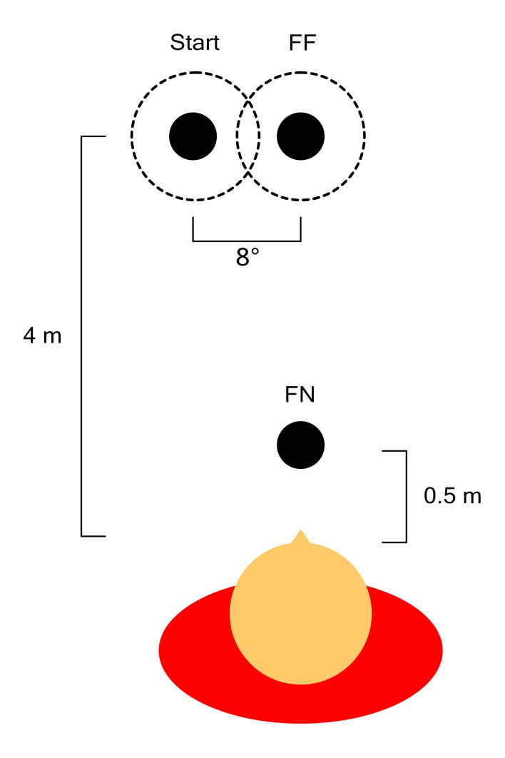 The pupil near response is short lasting and intact in virtual reality head mounted displays.