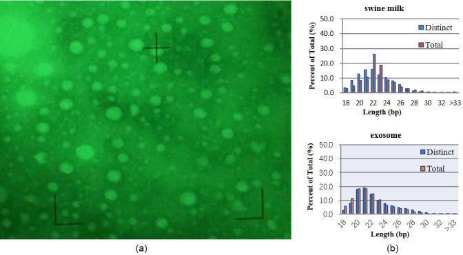 Comparison of porcine milk microRNA expression in milk exosomes versus whole swine milk and prediction of target genes.