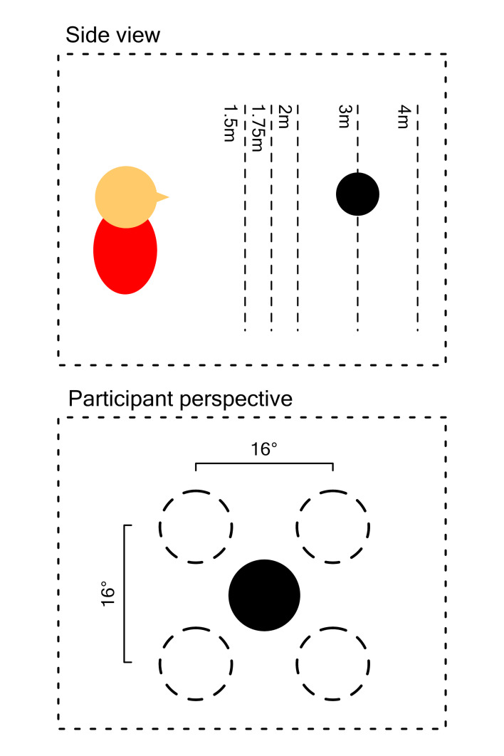 The pupil near response is short lasting and intact in virtual reality head mounted displays.