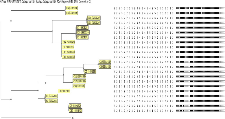 Molecular characterization of <i>Mycobacterium bovis</i> strains isolated from cattle and humans by spoligotyping and 24-locus MIRU-VNTR, and prevalence of positive IGRA in slaughterhouse workers in Southern Turkey.
