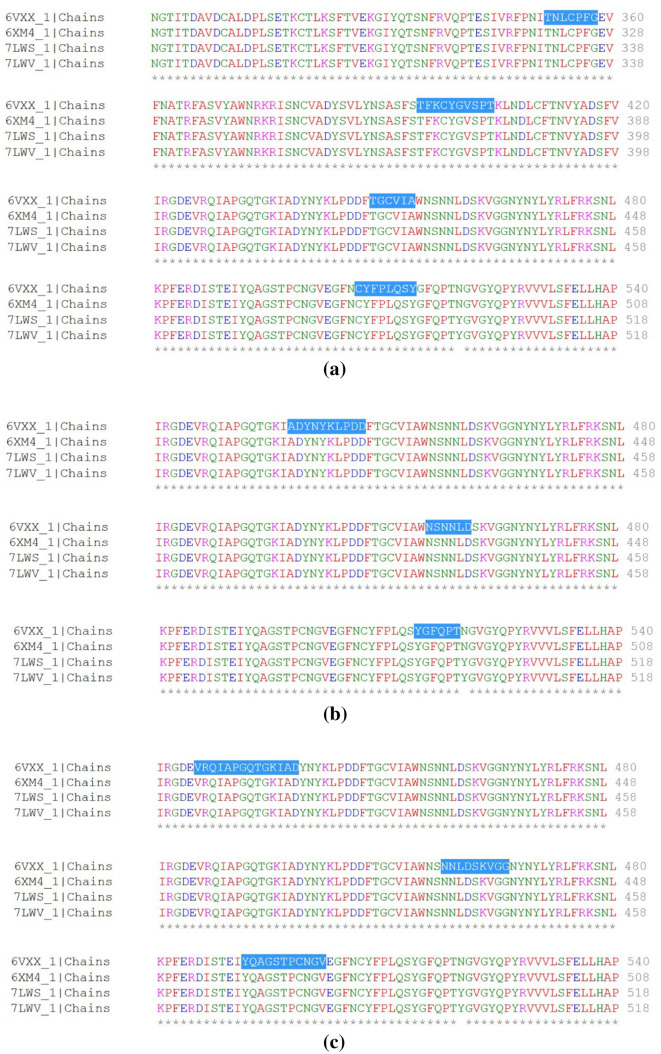 Prediction of suitable T and B cell epitopes for eliciting immunogenic response against SARS-CoV-2 and its mutant.