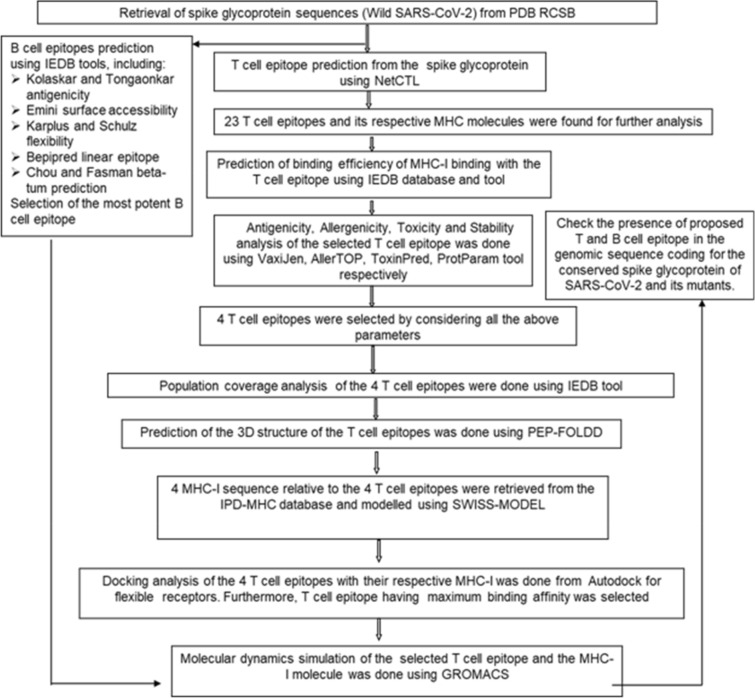 Prediction of suitable T and B cell epitopes for eliciting immunogenic response against SARS-CoV-2 and its mutant.
