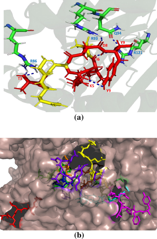 Prediction of suitable T and B cell epitopes for eliciting immunogenic response against SARS-CoV-2 and its mutant.