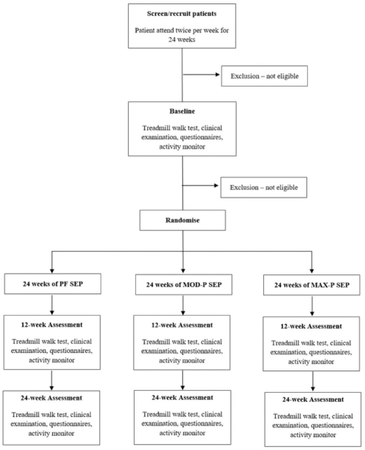 Effects of exercise prescribed at different levels of claudication pain on walking performance in patients with intermittent claudication: a protocol for a randomised controlled trial.