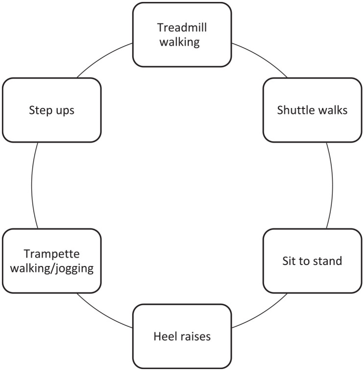 Effects of exercise prescribed at different levels of claudication pain on walking performance in patients with intermittent claudication: a protocol for a randomised controlled trial.