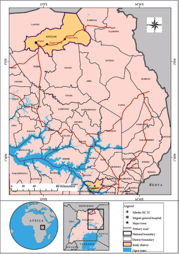 Disproportionate Distribution of HBV Genotypes A and D and the Recombinant Genotype D/E in the High and Low HBV Endemic Regions of Uganda: A Wake-Up Call for Regional Specific HBV Management.