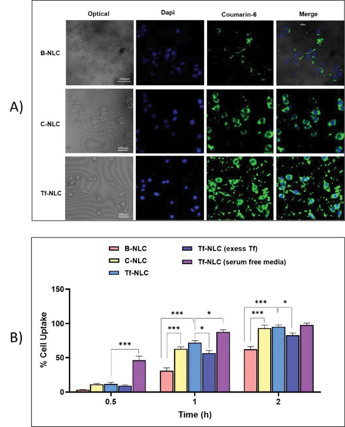 Correction: Brain targeted delivery of rapamycin using transferrin decorated nanostructured lipid carriers.