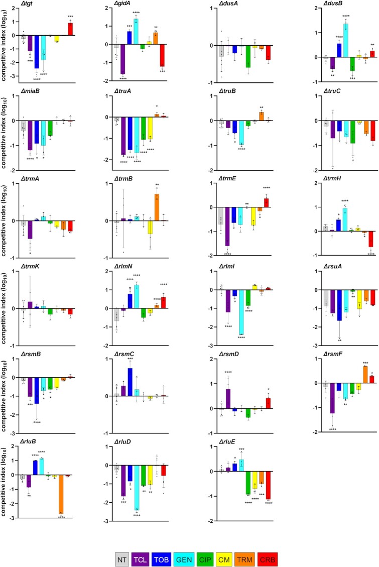 Nonessential tRNA and rRNA modifications impact the bacterial response to sub-MIC antibiotic stress.