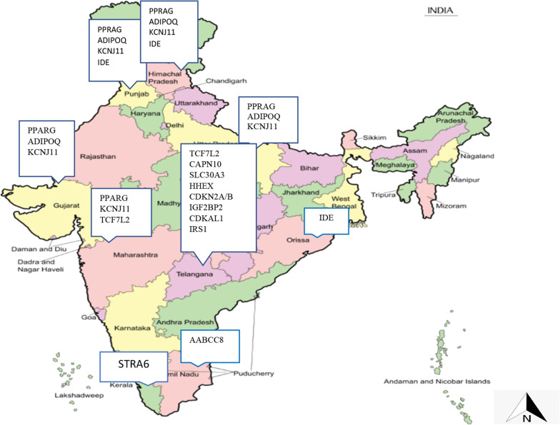 Genetics of type 2 diabetes mellitus in Indian and Global Population: A Review.