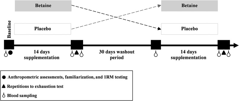 Effects of short-term betaine supplementation on muscle endurance and indices of endocrine function following acute high-intensity resistance exercise in young athletes.