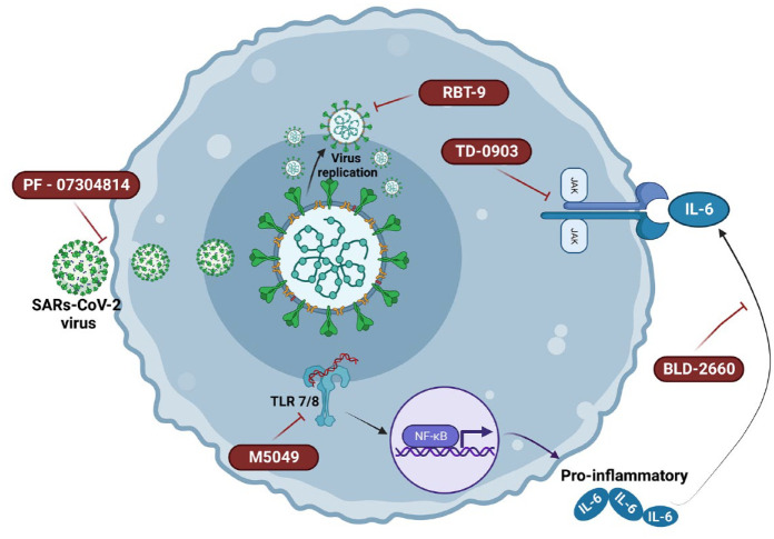 Different drug approaches to COVID-19 treatment worldwide: an update of new drugs and drugs repositioning to fight against the novel coronavirus.