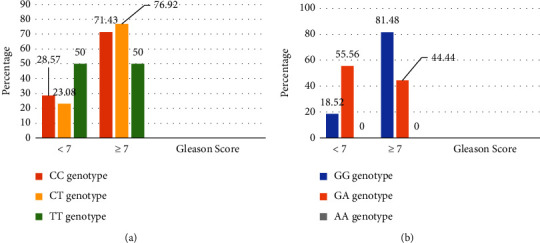 Carriage of Ser217Leu and Ala541Thr Variants of ELAC2 Gene and Risk Factors in Patients with Prostate Cancer in Burkina Faso.