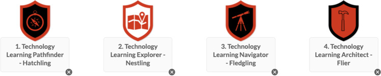 Learning to Fly: Development and Design of a Micro-Credentialing System for an Educator Preparation Program in the Absence of a Required Educational Technology Course.