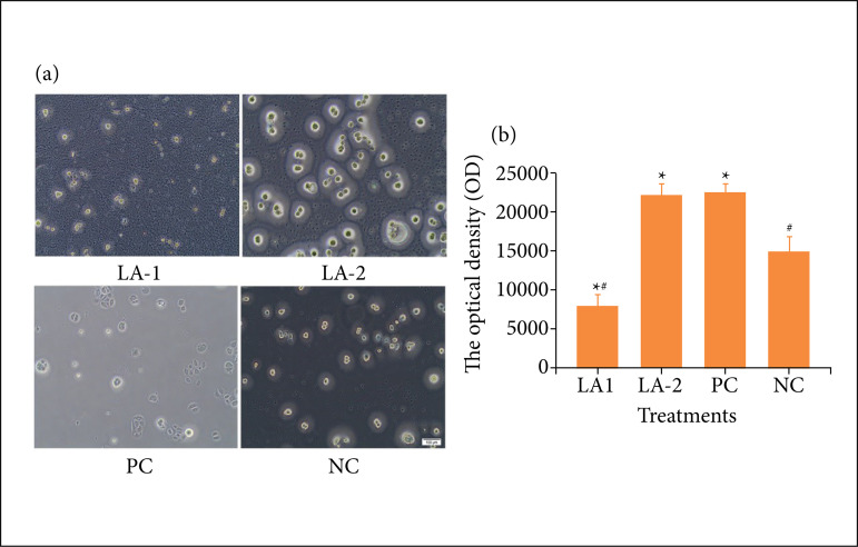 Walnut ointment promotes full-thickness burning wound healing: role of linoleic acid.