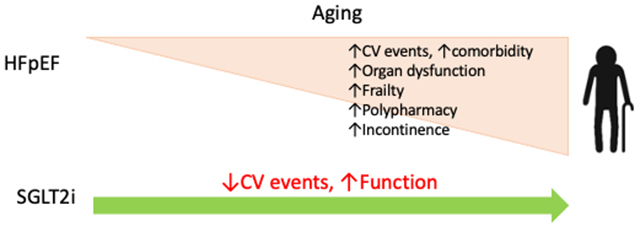 SGLT2 inhibitors in patients with HFpEF: how old is too old?