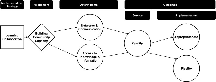 Mechanisms of implementation: An appraisal of causal pathways presented at the 5th biennial Society for Implementation Research Collaboration (SIRC) conference.