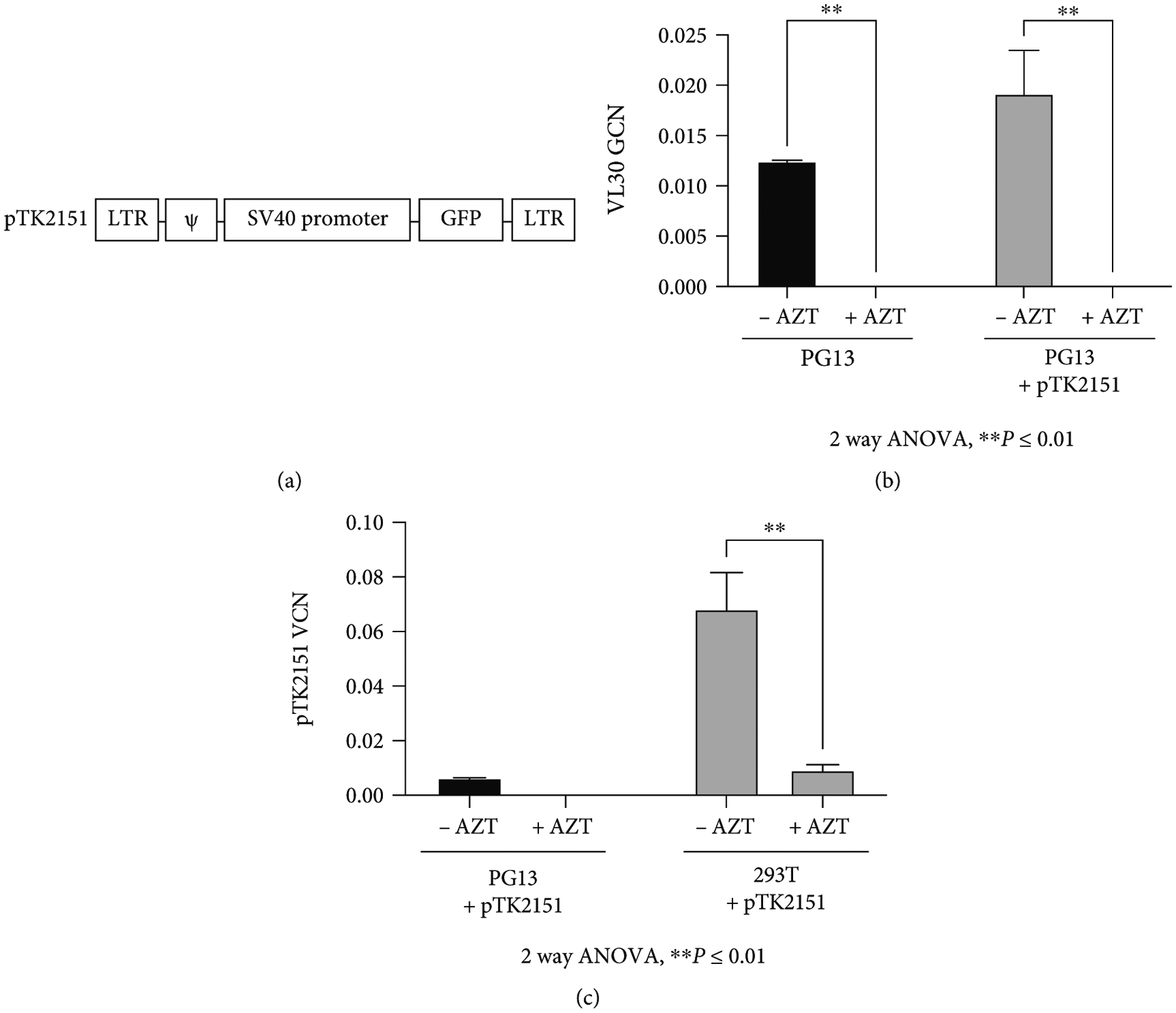 Inadvertent Transfer of Murine VL30 Retrotransposons to CAR-T Cells.