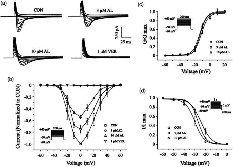 Cardioprotective effects of alantolactone on isoproterenol-induced cardiac injury and cobalt chloride-induced cardiomyocyte injury.