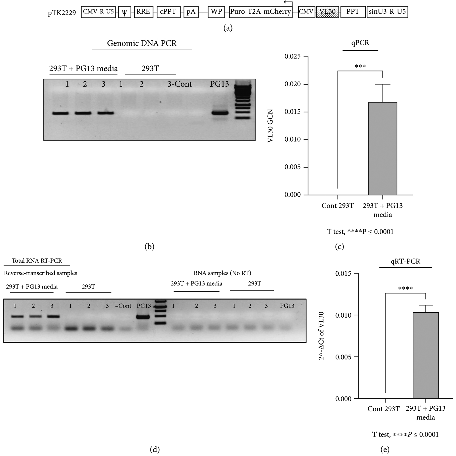 Inadvertent Transfer of Murine VL30 Retrotransposons to CAR-T Cells.