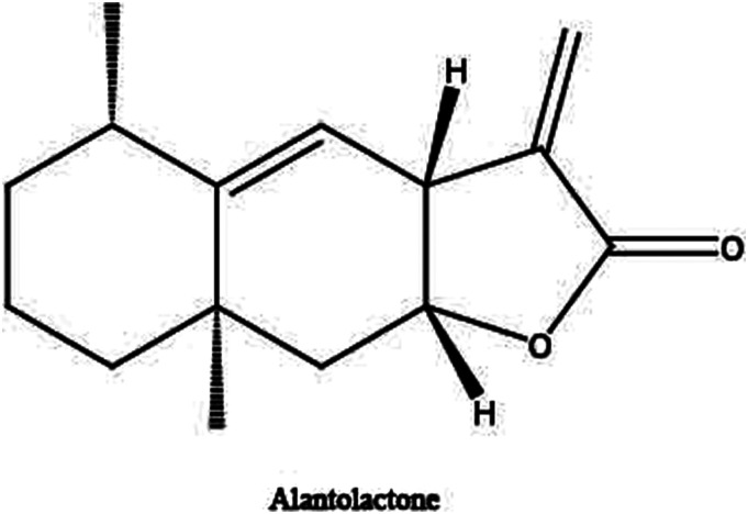 Cardioprotective effects of alantolactone on isoproterenol-induced cardiac injury and cobalt chloride-induced cardiomyocyte injury.