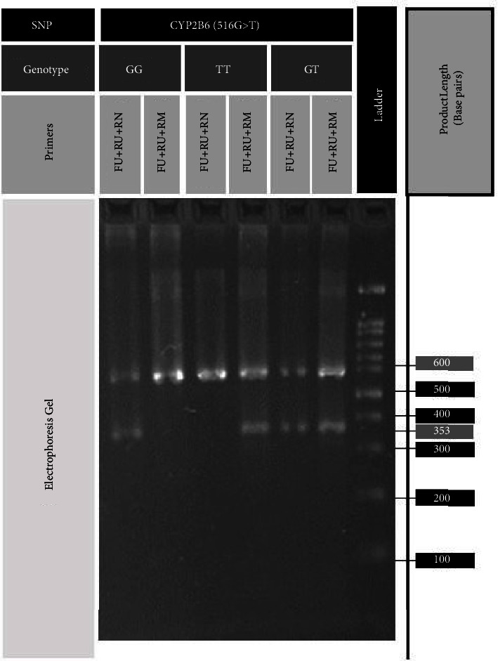 Frequency of CYP2B6 Alleles in Major Iranian Ethnicities, Affecting Response to Efavirenz.