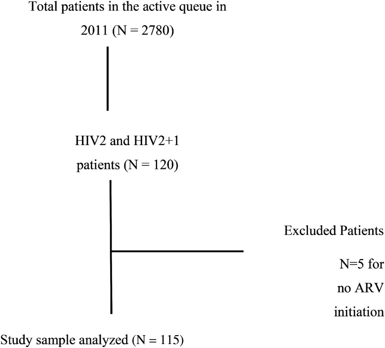 Future of HIV2 and HIV2 +  1 Infected Patients Treated with Antiretrovirals Followed at the Day Hospital HIV Care Unit from 2011 to 2015.