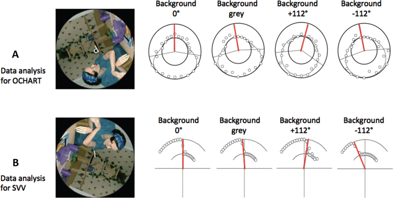 Long-duration head down bed rest as an analog of microgravity: Effects on the static perception of upright.