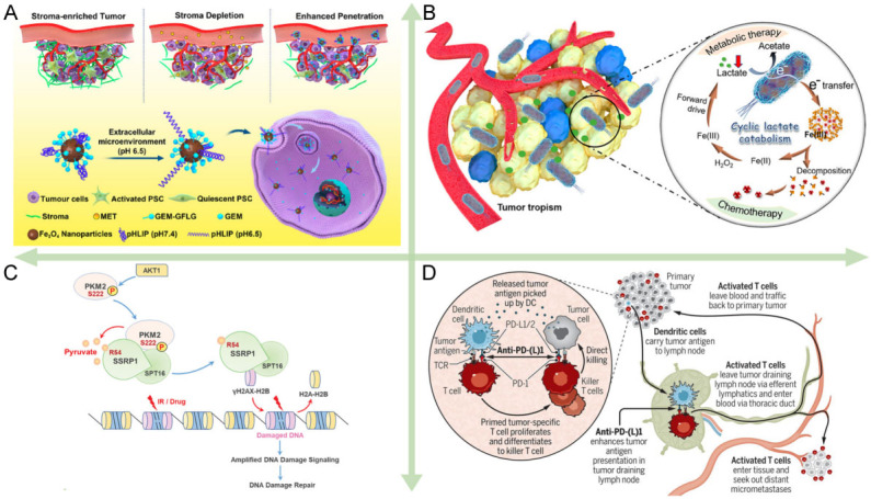 Perspectives of metal-organic framework nanosystem to overcome tumor drug resistance.