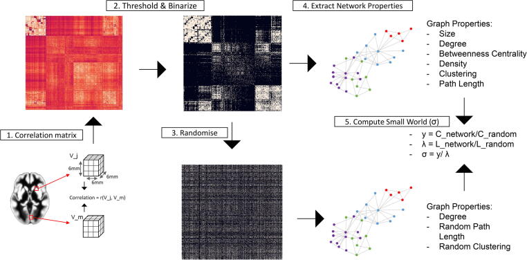 Gray matter network properties show distinct associations with CSF p-tau 181 levels and amyloid status in individuals without dementia