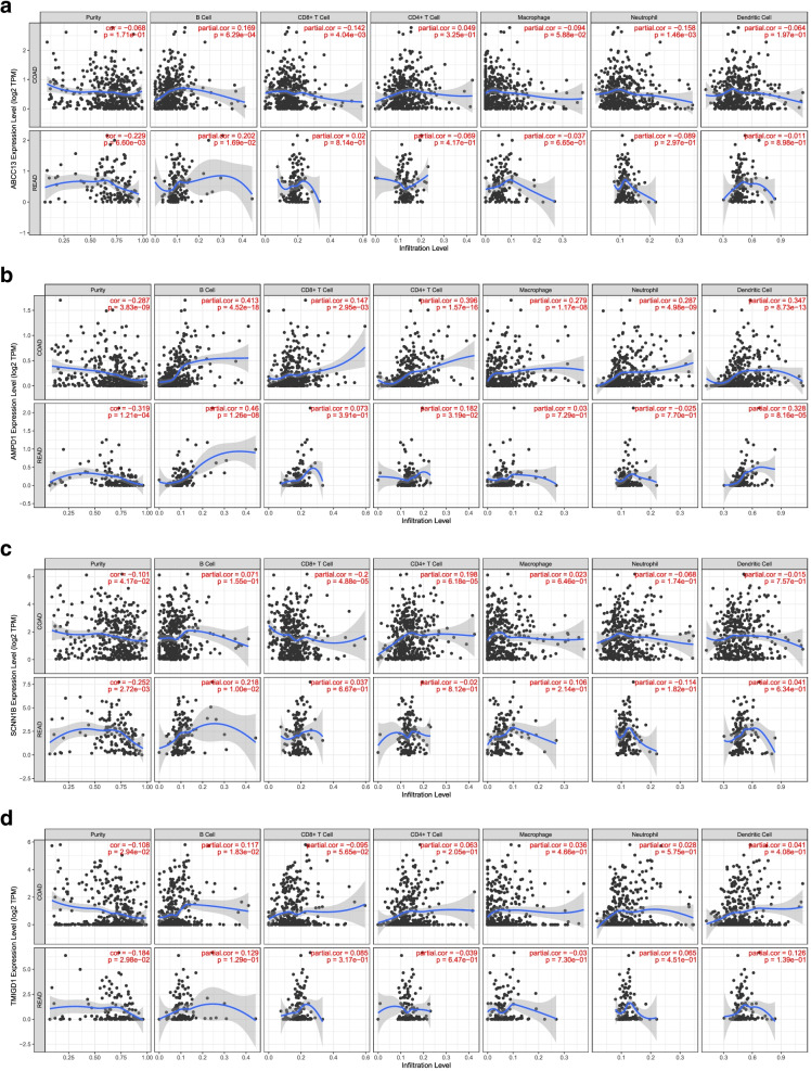 Identification of four novel hub genes as monitoring biomarkers for colorectal cancer.