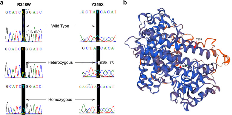 Single-nucleotide polymorphisms and activities of indoleamine 2,3-dioxygenase isoforms, IDO1 and IDO2, in tuberculosis patients.