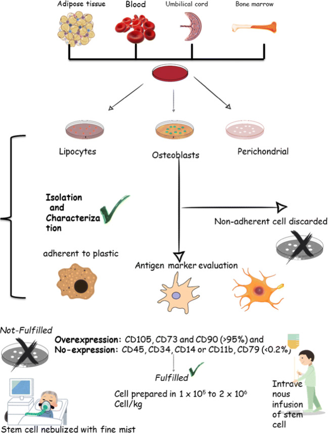 Rescuing emergency cases of COVID-19 patients: An intelligent real-time MSC transfusion framework based on multicriteria decision-making methods