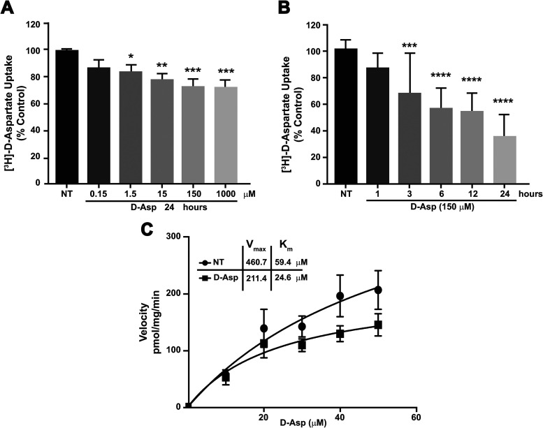 EAAT1-dependent <i>slc1a3</i> Transcriptional Control depends on the Substrate Translocation Process.