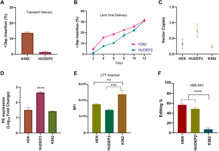 Efficient and error-free correction of sickle mutation in human erythroid cells using prime editor-2.